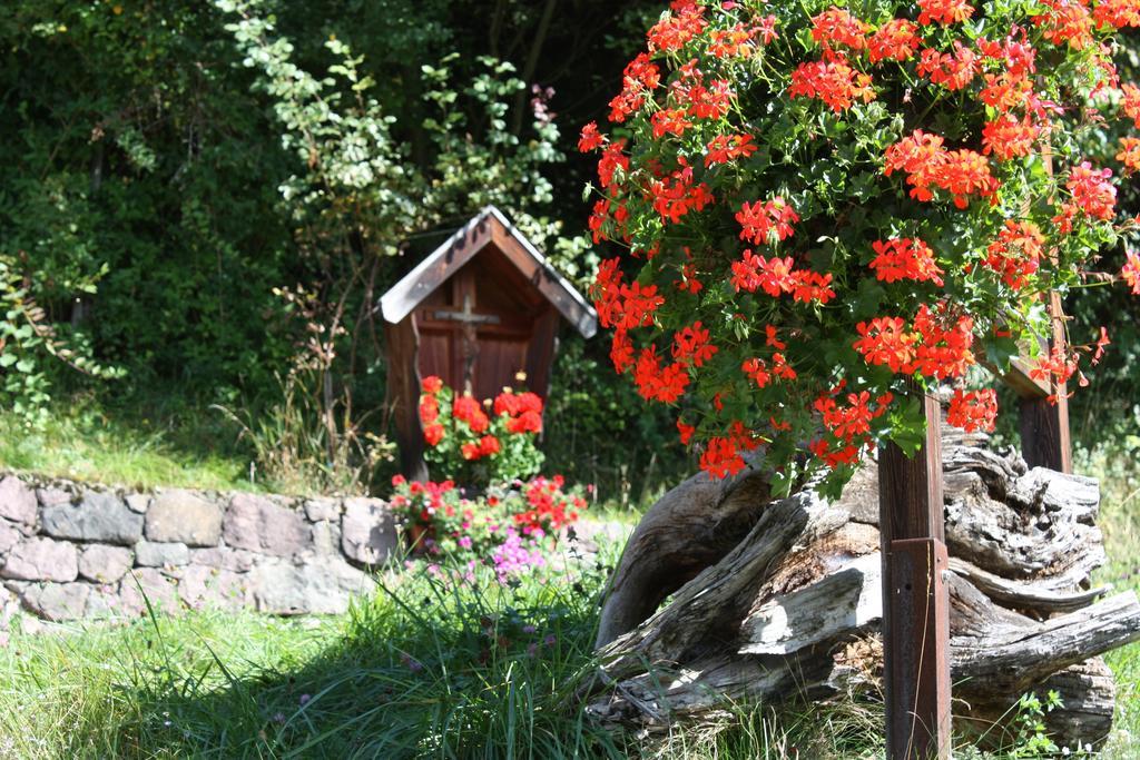 Ferienbauernhof Masunerhof Fiè Exterior foto