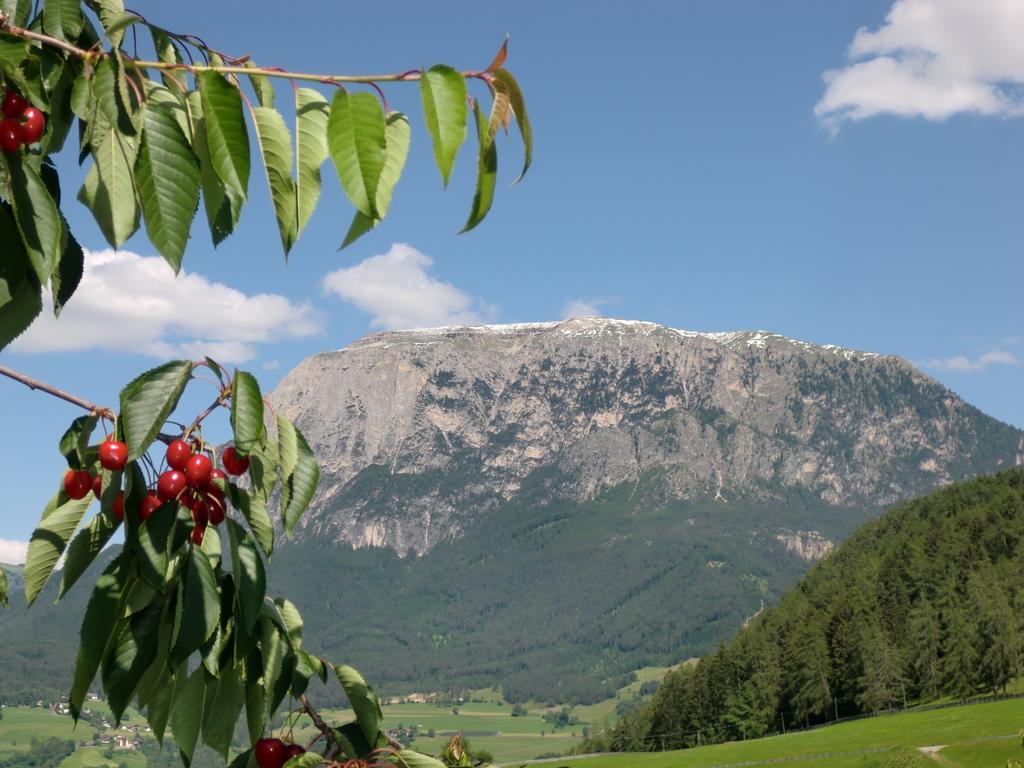 Ferienbauernhof Masunerhof Fiè Quarto foto